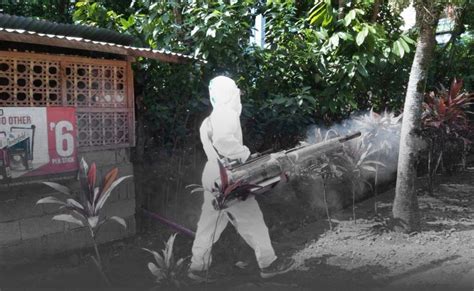 City gov’t to barangays: Create Task Force vs dengue.